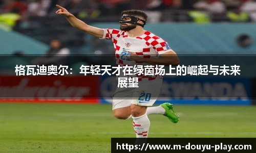 格瓦迪奥尔：年轻天才在绿茵场上的崛起与未来展望