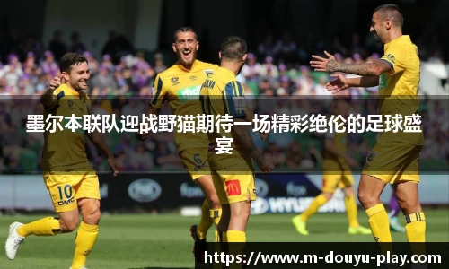墨尔本联队迎战野猫期待一场精彩绝伦的足球盛宴